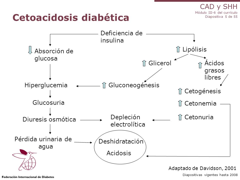 Cetosis y cetoacidosis diabética